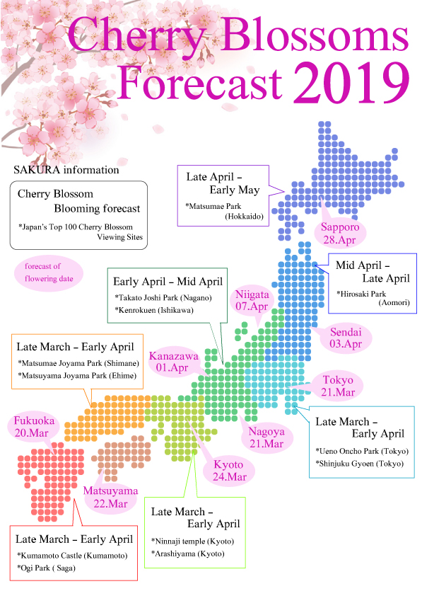 sakura
